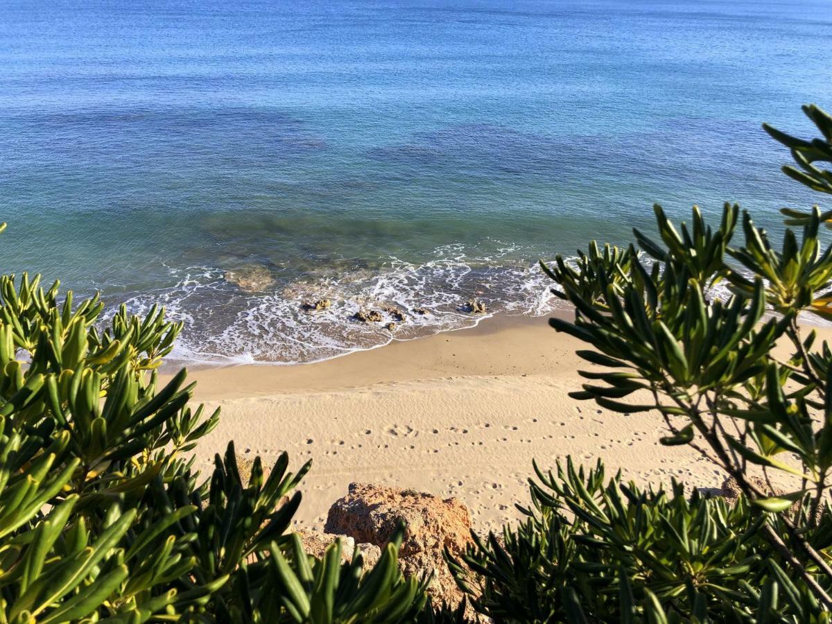 Miami Playa Rentalmar Horizon מראה חיצוני תמונה